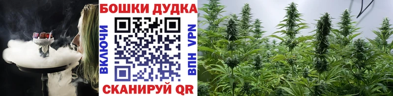 Марихуана White Widow Полярные Зори